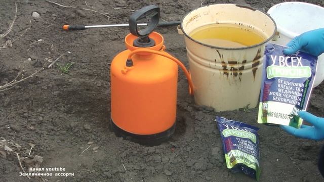 ЧЕМ БЕЗ ХИМИИ ВЕСНОЙ ОБРАБОТАТЬ КУСТАРНИКИ И ДЕРЕВЬЯ В САДУ. ПРОМЫВКА САДА ВЕСНОЙ . смотреть онлайн