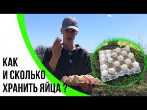 Мускусные утки / Сбор инкубационного яйца и его хранение / Птицеводство