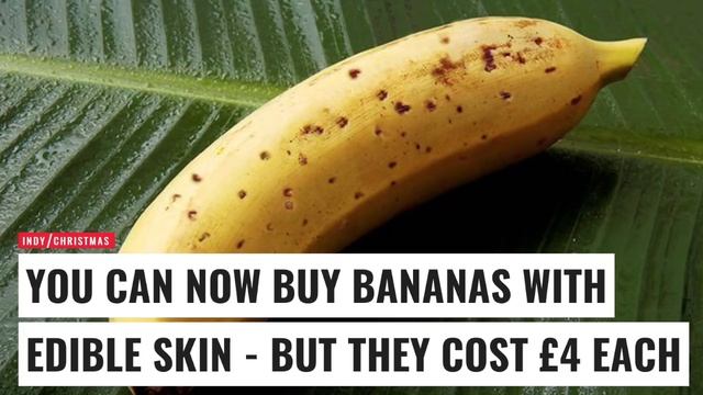 Cosmic Magnetism, M6.6 Quake, Solar Tornado | S0 News Jan.29.2018 смотреть онлайн