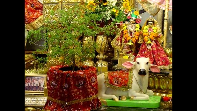 Shri Tulasi Kirtana смотреть онлайн