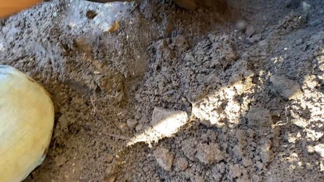 Herkimer Diamond Mining ? Paradise Falls in New York | Digging Crystals смотреть онлайн