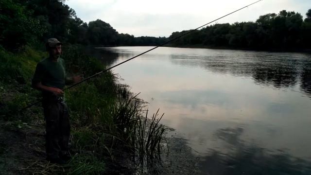 Ловим рыбу в проводку на реке Северский Донец. смотреть онлайн