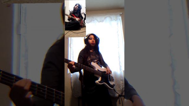 Volny (Molchat doma) cover by morricheese смотреть онлайн