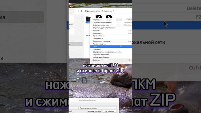 Как спрятать файлы на компьютере смотреть онлайн