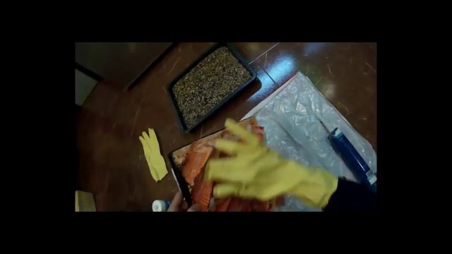 Каменный фон для аквариума своими руками смотреть онлайн