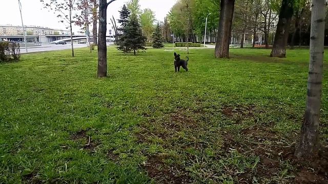 Каспер смотреть онлайн