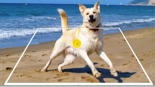 Photoshop Tutorial: How to Make a 3D, Pop-Out Photo Effect смотреть онлайн