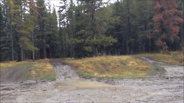 93' 4 RUNNER CHALLENGE смотреть онлайн