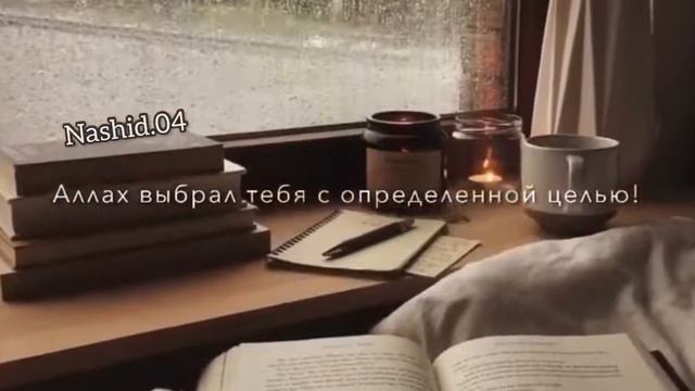 Аллах1 не просто сделал тебя мусульманином!🕊😍💛 #исламскиевидео#мудрыеслова смотреть онлайн