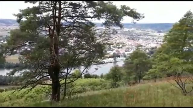 Любители черепах. Греческая сухопутная черепеха смотреть онлайн