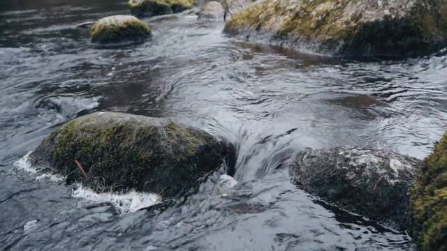 Линдуловская роща. Ленинградская область. Sony A7iii+Tamron 28-75 Cinematic Travel Vlog.