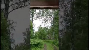 После дождя.