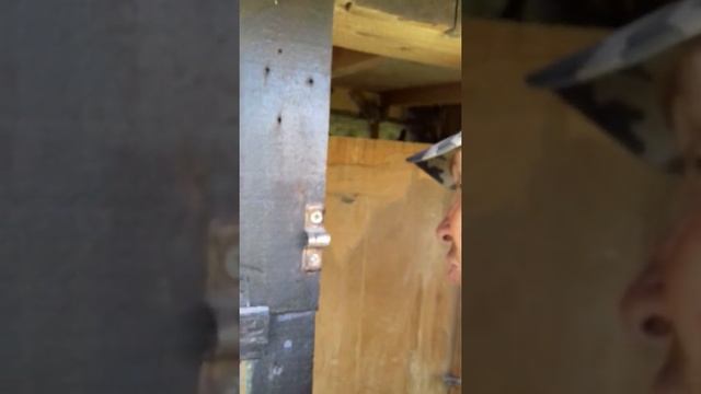 Golubi.ljubav.zadovoljstvo смотреть онлайн