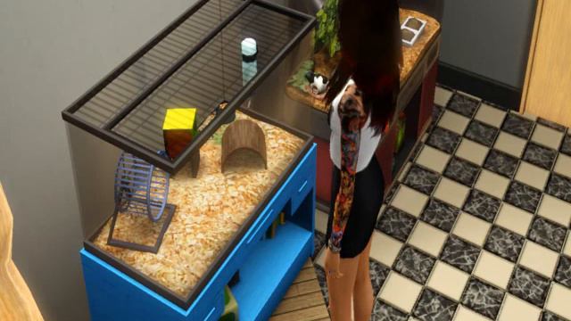 Sims 3 Carrying Pet Rat смотреть онлайн