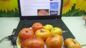 ОЧЕНЬ СЛАДКИЙ ТОМАТ МЕДОВЫЙ САЛЮТ. Ольга Чернова.