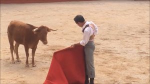 Испанская коррида! Лето 2017