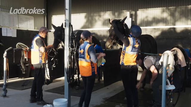 Ben Gleeson Has Set Up Te Akau Racing’s Australian Operation For Success смотреть онлайн