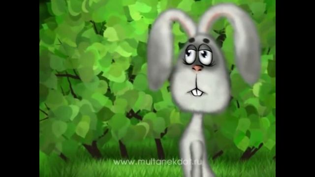 заяц и косяк смотреть онлайн