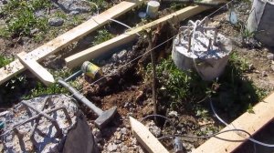 Выдирание пня рычажной лебедкой 2