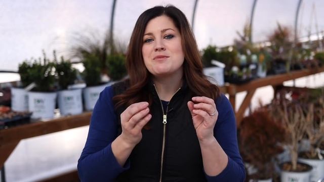 16 Hardy Hydrangea Varieties ??// Garden Answer