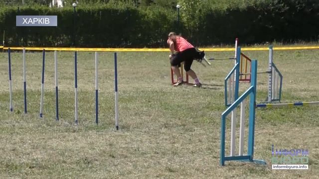 У Харкові відбулися англійскі змагання для собак смотреть онлайн