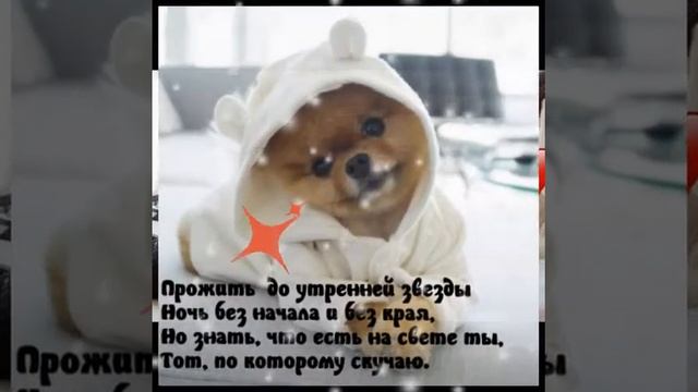Я тебя люблю Аяна смотреть онлайн