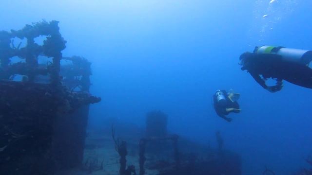 One Minute Off The Coast Of Key Largo | Underwater Video & Film смотреть онлайн