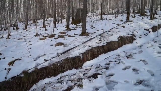 НИВА 4х4/ Жёсткая дорога/ Нива на 29 колёсах Cordiant Off-road+ Квадро-лебёдка/ На Рыбалку! смотреть онлайн