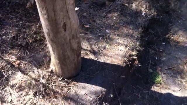 Лесная "качалка"-7 Новый ТУРНИК смотреть онлайн