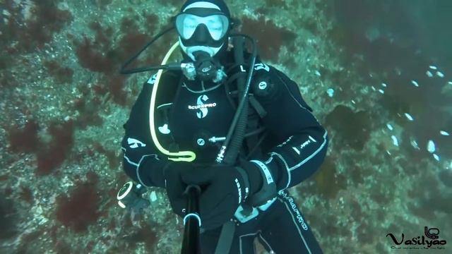 Дайвинг в Баренцевом море в сухом гидрокостюме. Diving In The Barents Sea In A Dry Suit.