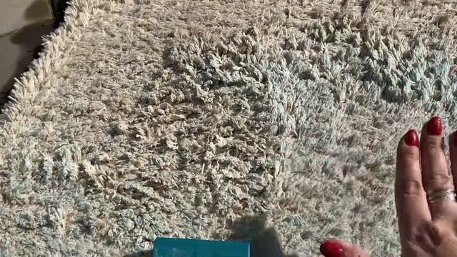 VLOG Стираю ковёр и почему Я ТЕПЕРЬ ХОЧУ КЁРХЕР( Kerher)