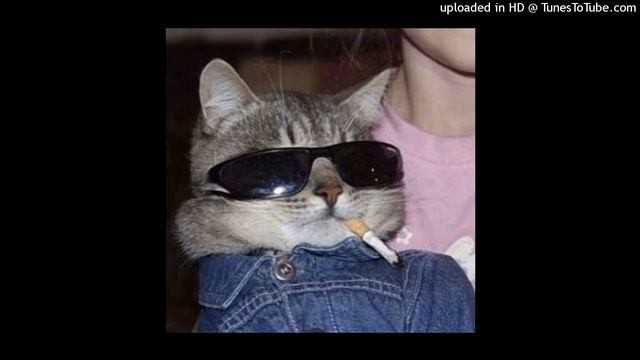 [FREE] "NASTY" HIP HOP/TRAP HARD TYPE BEAT смотреть онлайн