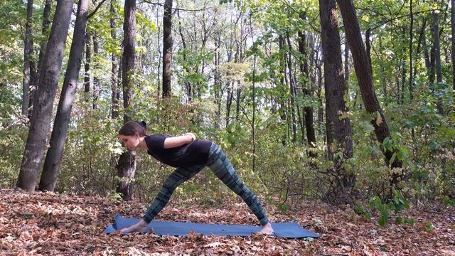 Йога для начинающих смотреть онлайн