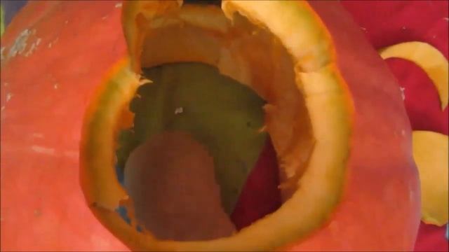 домик из тыквы для морских свинок смотреть онлайн