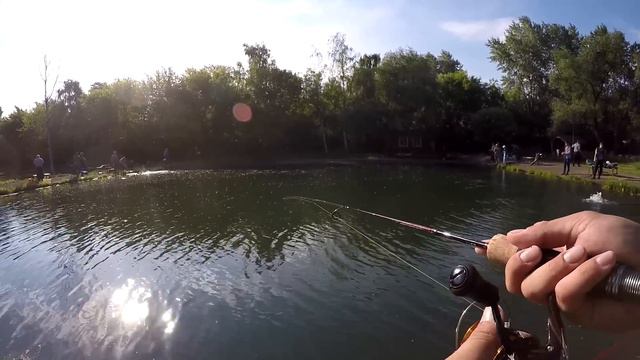 Бешеная форелевая рыбалка! смотреть онлайн