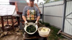 САМАЯ ПОЛЕЗНАЯ ТРАВА ДЛЯ КУР !  ЧТО ДАВАТЬ КУРАМ !