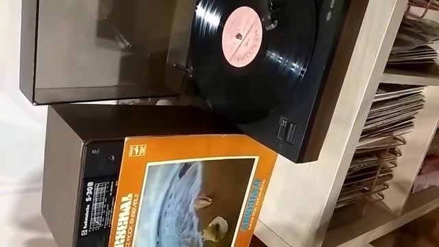 Арсенал (с) Джаз-рок ансамбль, х/р А. Козлов С60-12209-10 смотреть онлайн