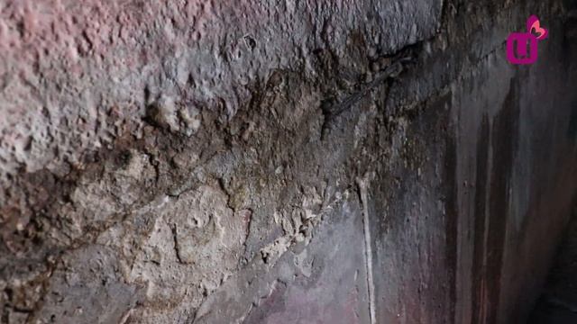 Как кошкам выбраться из подвала смотреть онлайн