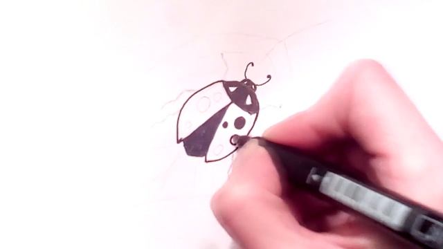 Божья коровка. Чудесная божья коровка