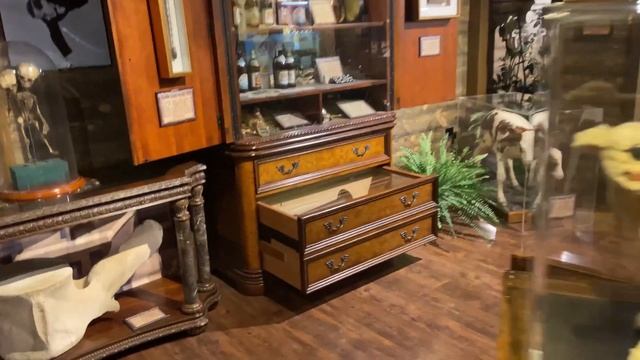 Rose Visits Ripley's Believe It or Not! Surfers Paradise Tourist Attraction Full Walkthrough смотреть онлайн