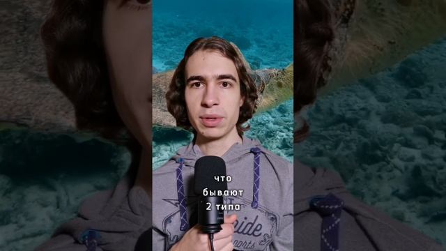 Можно ли дышать под водой во сне? смотреть онлайн
