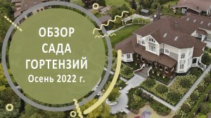 Сад гортензий осенью. Обзор сада и прогулка по саду гортензий в КП Никольские Озёра