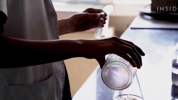 Сандаловое дерево/ Sandalwood |  Почему оно такое дорогое ?