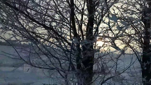 Приехли в отпуск к Родным на Алтай. VLOG 4 смотреть онлайн