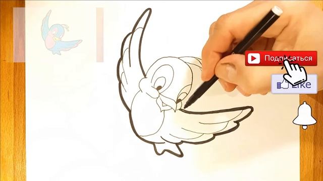 Как нарисовать птицу / Раскраска Птичка / Рисунок птица. смотреть онлайн