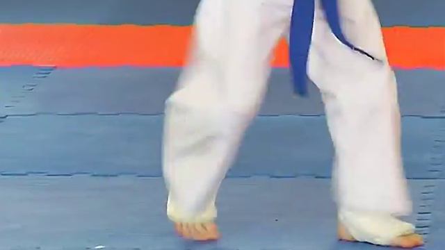 Видео сюжет с Межрегионального турнира по кудо "Наша Память" посвещенный Дню Победы смотреть онлайн