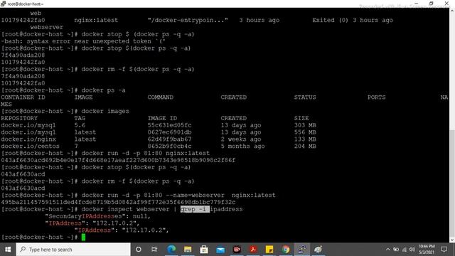 Docker Tutorials for beginner | How to expose Container to World Network | Hindi/Urdu смотреть онлайн