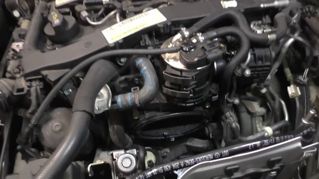 Mercedes C-Klasse 204 Totalschaden retten!? DPF, AGR, Injektoren und Getriebeölwechsel (2/3) OM651 смотреть онлайн