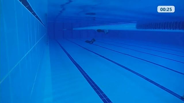 Фридайвинг Чемпионат Санкт-Петербурга "Белые ночи" 19.06.2022 смотреть онлайн