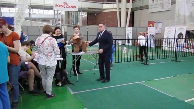 MVI 0527 смотреть онлайн
